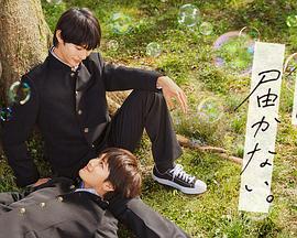 个人如何做网站优化服务